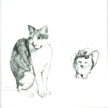 Illustration, Skizze,Pussycats